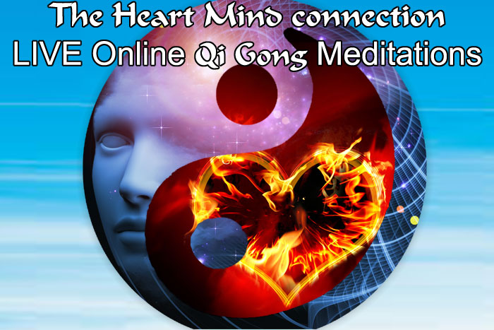 The Heart Mind Connection ONLINE