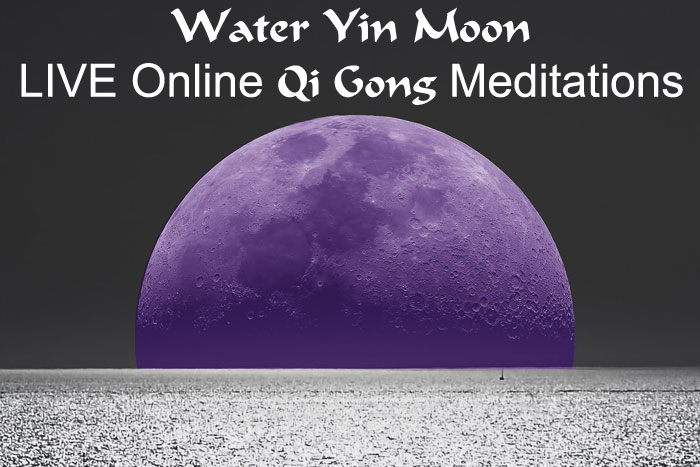 Buddha 7 doing Celestial Alchemy  - Online LIVE Energy Meditations Health Wellness Consciousness expansion London Herts Essex