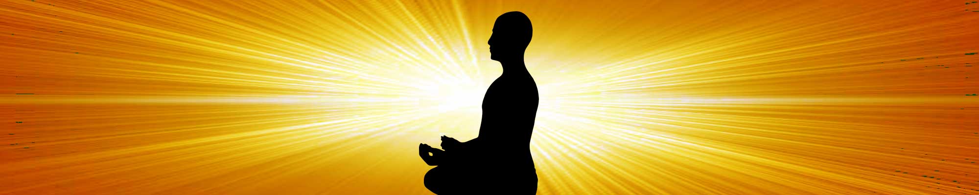 QI GONG 1-1 sessions