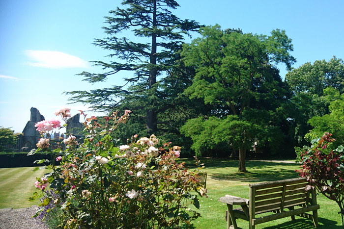 Glastonbury Retreat image